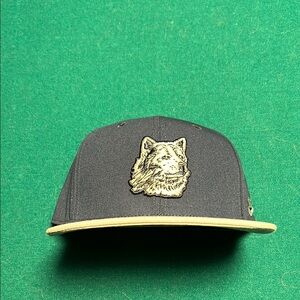 UConn Nike Pro Flatbilll Snap Back